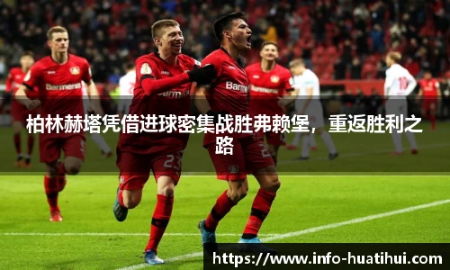 华体会hth体育官网入口