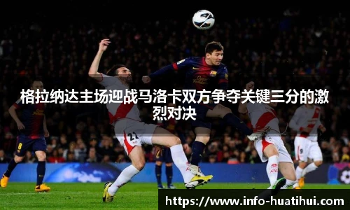 华体会hth体育官网入口